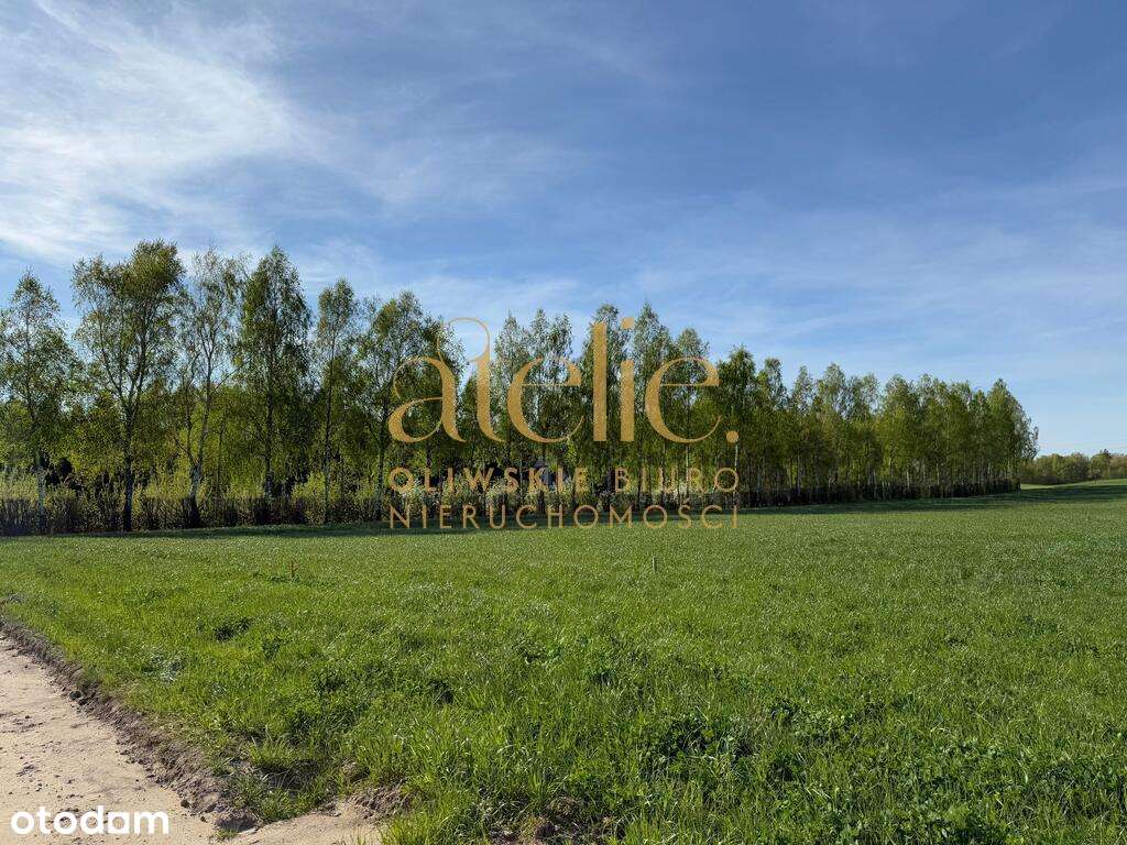 Rębiska/Kielno/Warzno działka z WZ - Pełny obrazek: 4/8