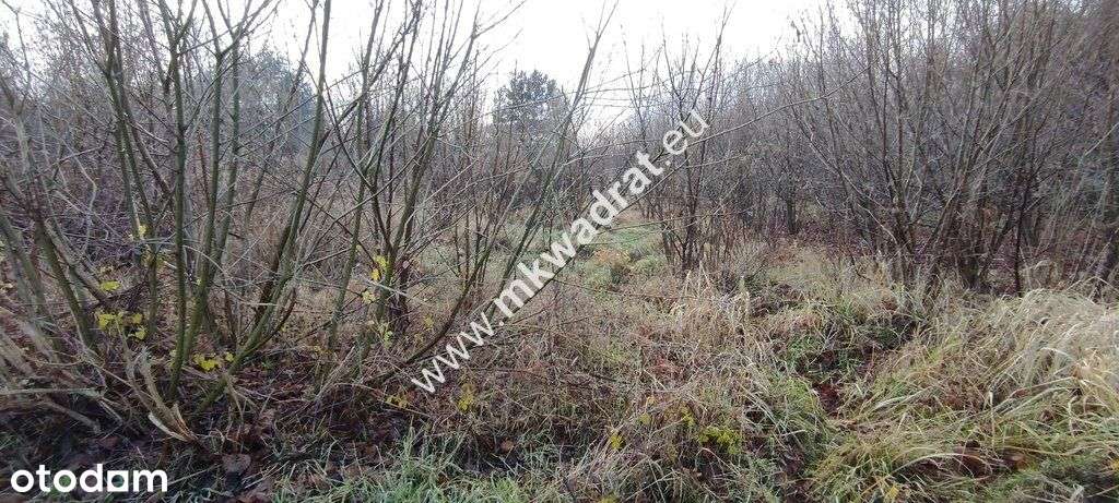 ⭐⭐⭐⭐ Działka Budowlana 4851 M Budy Grzybek ⭐⭐⭐⭐-4