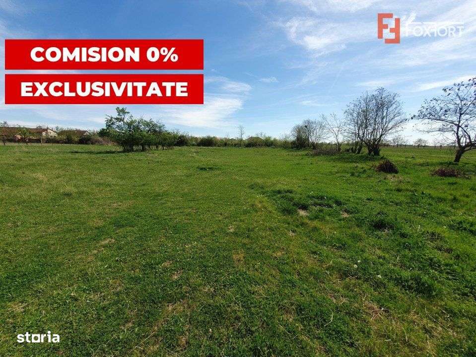 Comision 0% Teren intravilan 3000 mp in Padureni Jebel - Imagine principală: 3/8