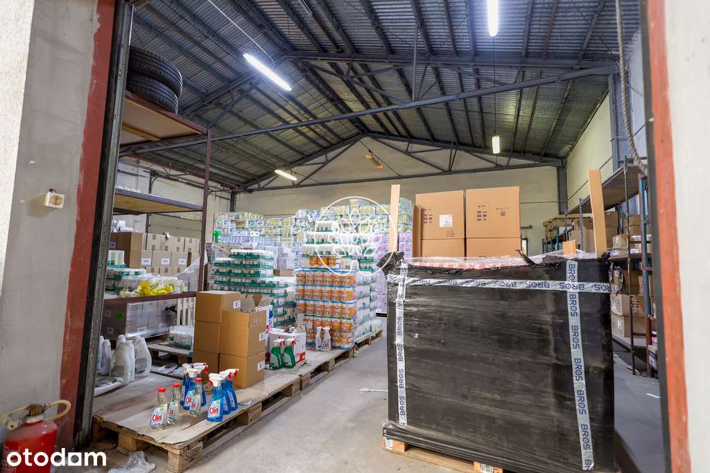 Hala magazynowa w kapitalnej lokalizacji-Szajnochy - Pełny obrazek: 4/16