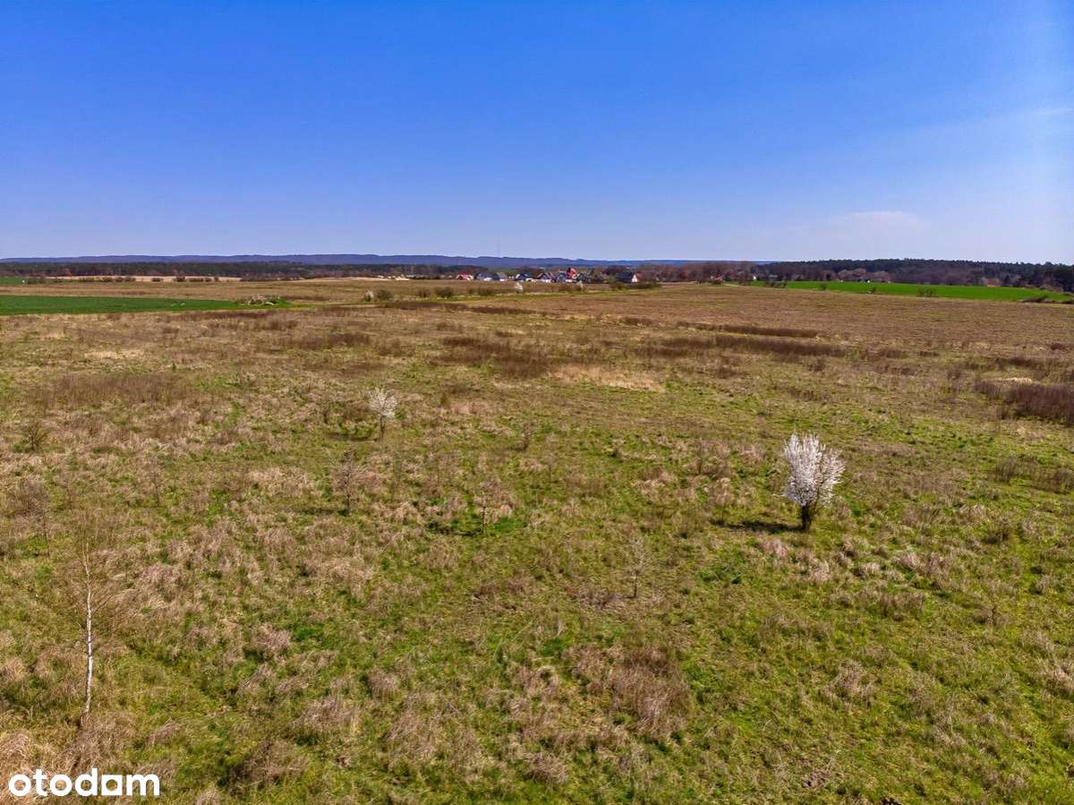 Działka budowlana 1.310,0 m2, Stare Brynki/Czepino - Pełny obrazek: 5/9