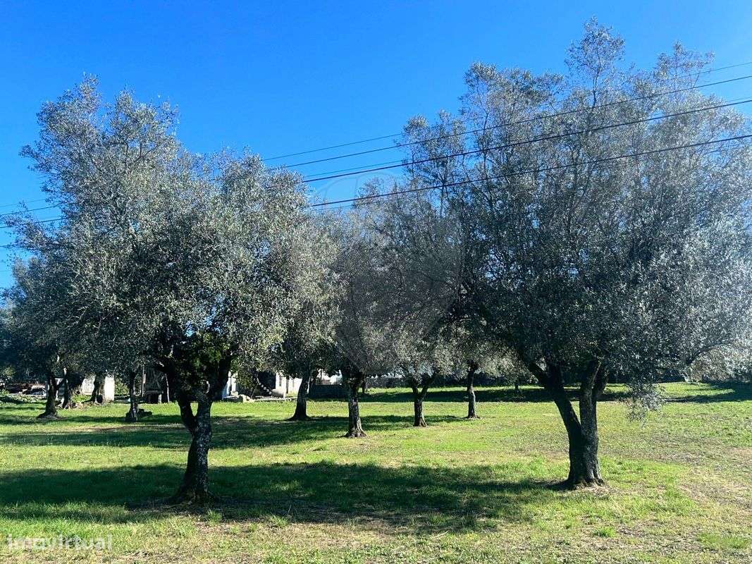 Moradia T0 para venda - Grande imagem: 3/21