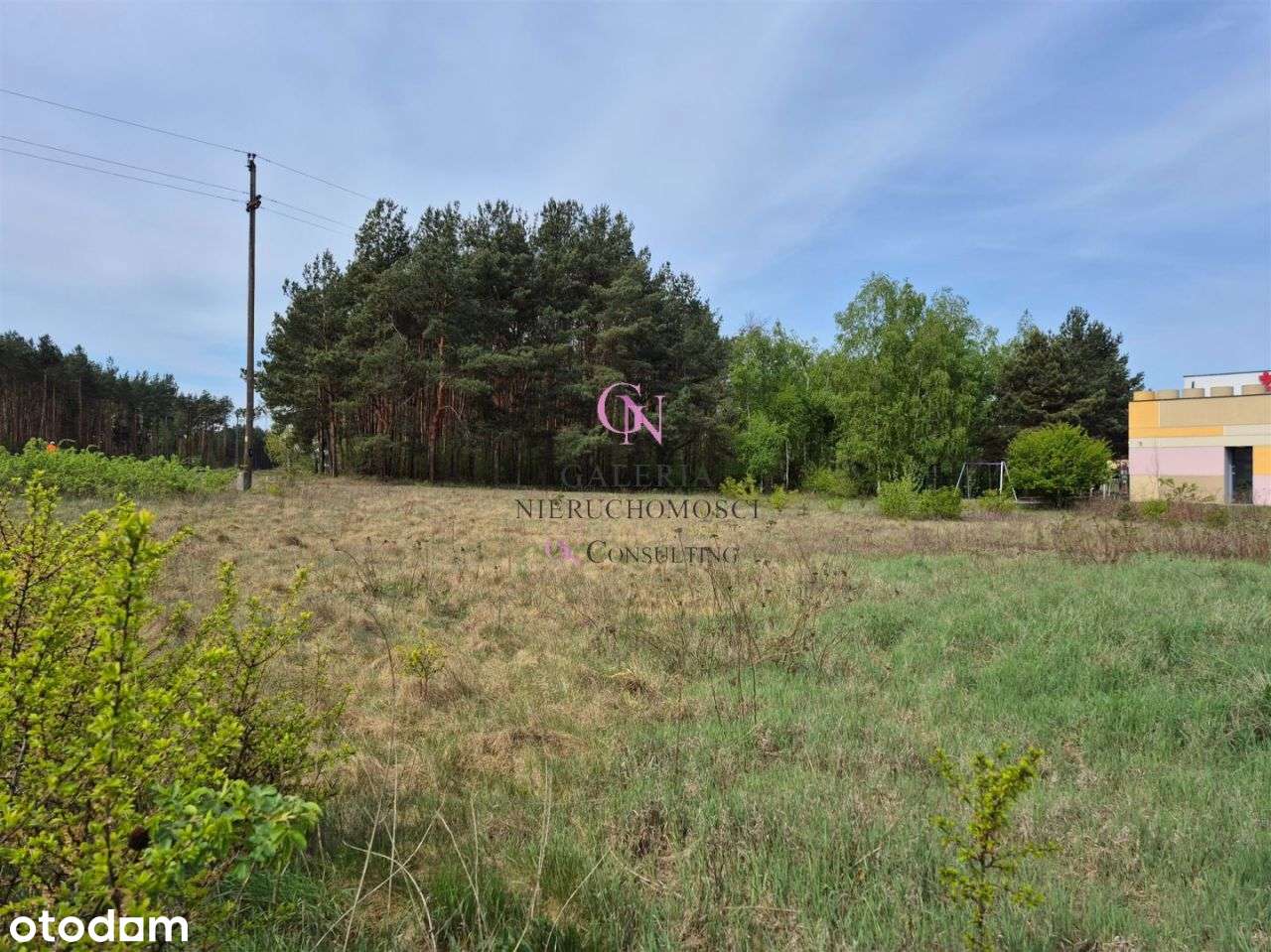 Działka z prywatnym lasem w centrum Odolionu - Pełny obrazek: 4/9