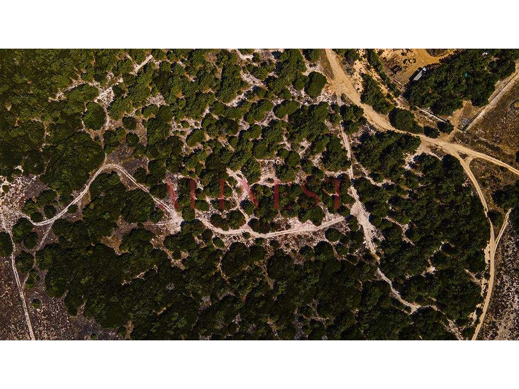 Terreno urbano com 83.930 m2 em Sines - Grande imagem: 4/23