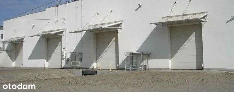 Na sprzedaż kompleks budynków magazynowo produkcyj - Pełny obrazek: 5/14