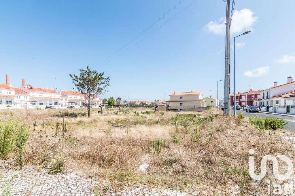 Terreno para construção em Vieira de Leiria - Grande imagem: 5/5
