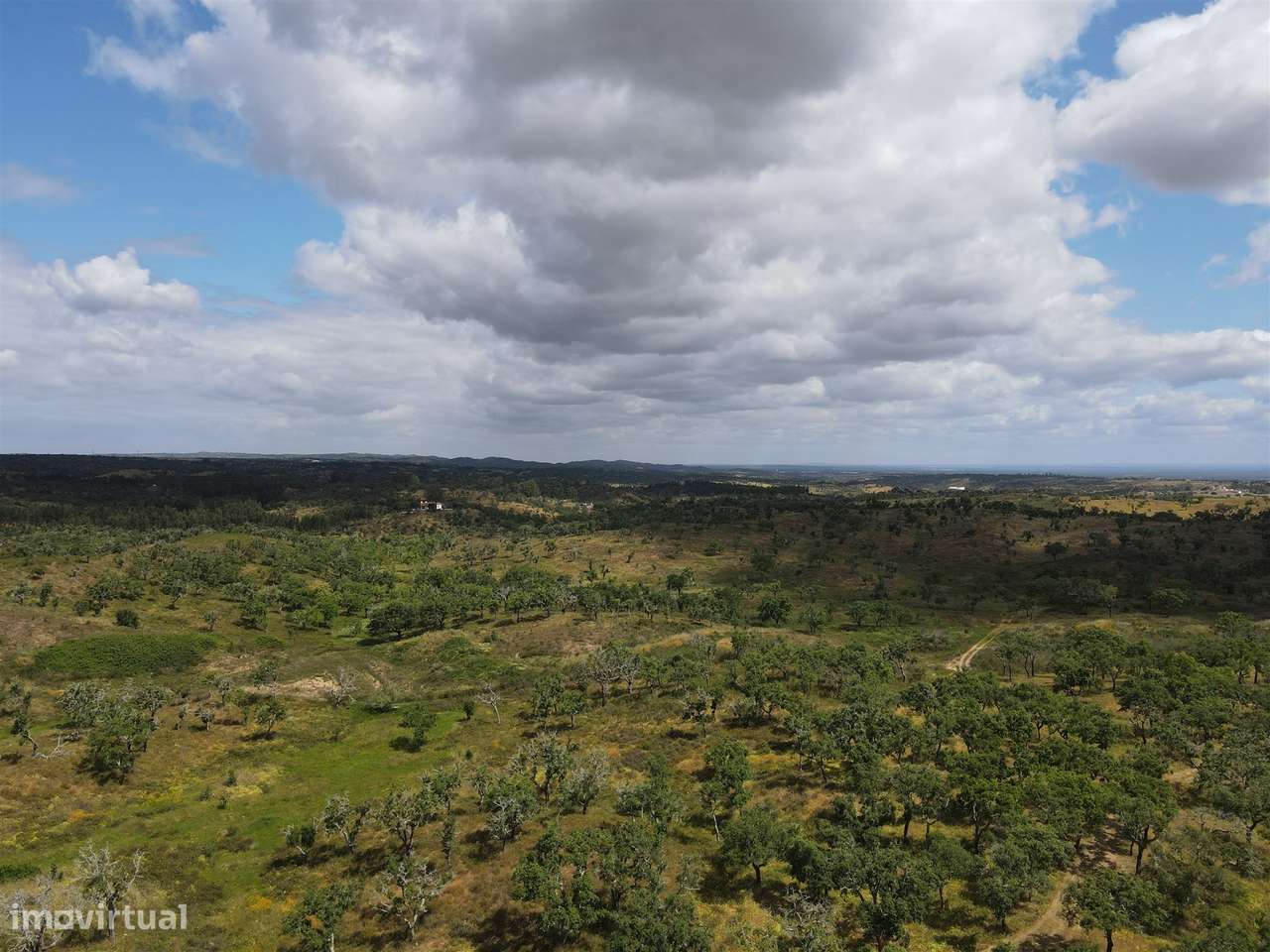 Terreno Rústico  Venda em Grândola e Santa Margarida da Serra,Grândola - Grande imagem: 2/23