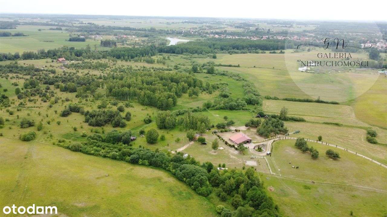 Działka 6ha,Miłomłyn,stajnia,domki letniskowe,dom - Pełny obrazek: 4/14