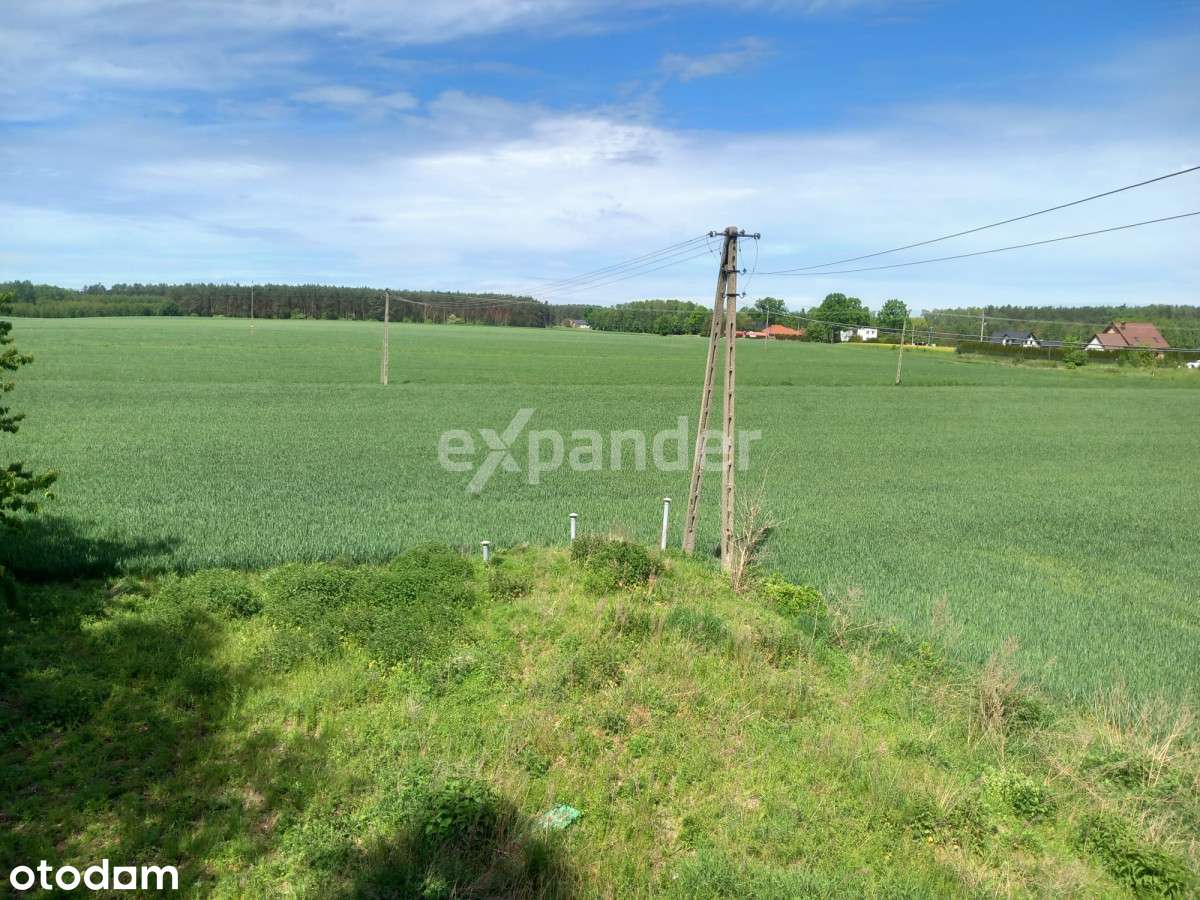 Okazja!siedlisko, Dom 206 m2 + bud. gosp. + garaż! - Pełny obrazek: 5/11