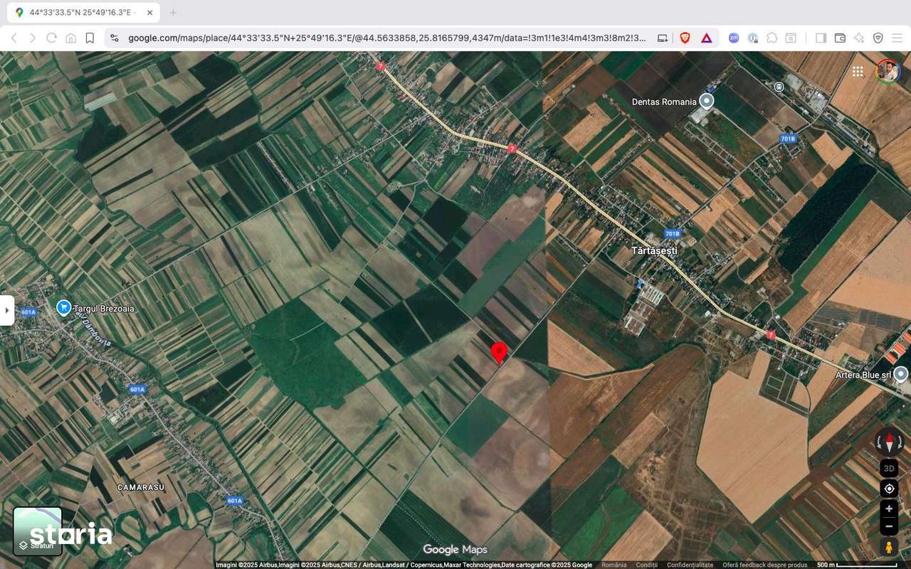 Teren extravilan 10.000 mp Tartasesti Dambovita - Imagine principală: 3/5