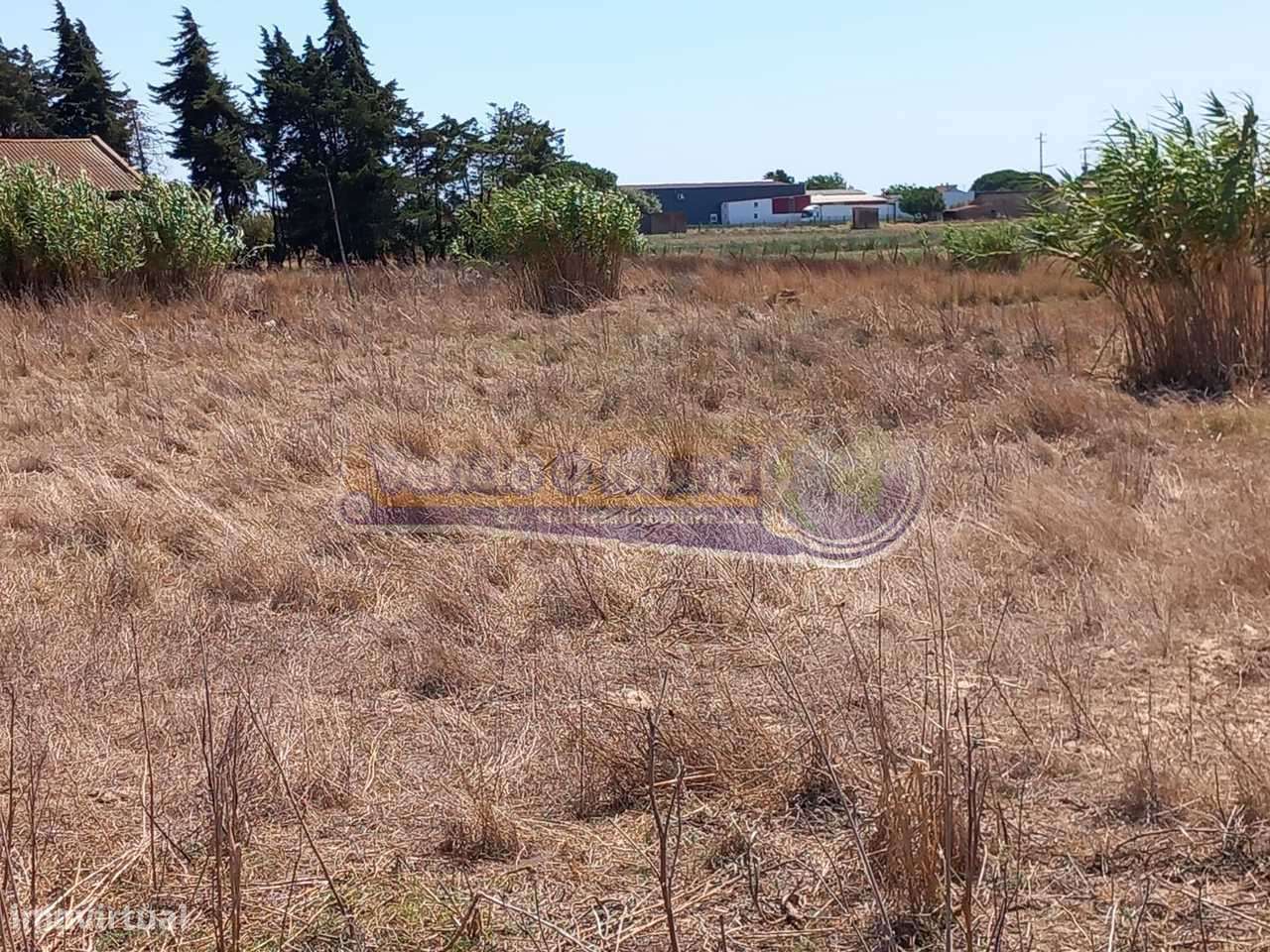 Terreno na Coutada Velha (B547) - Grande imagem: 3/11