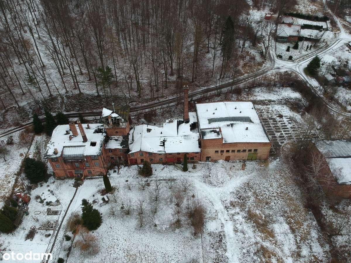 Na sprzedaż cegielnia Kadyny - Pełny obrazek: 4/13