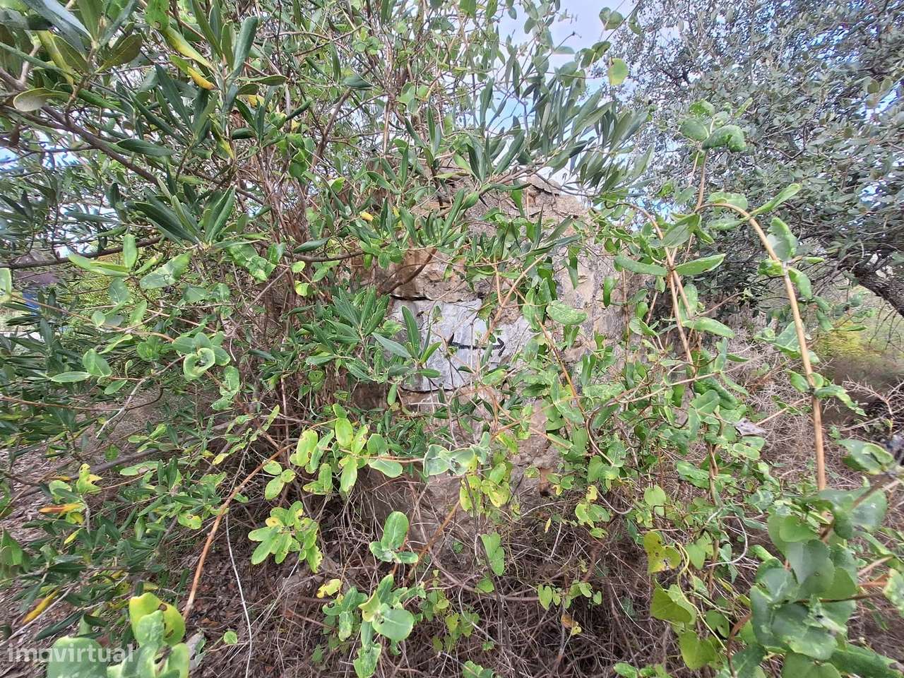 Terreno no Ruína no concelho de Faro-13