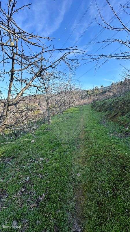 Terreno  para venda-1