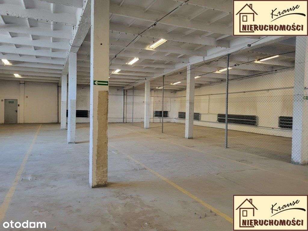 magazyn ogrzewany, rampa, - Pełny obrazek: 5/20