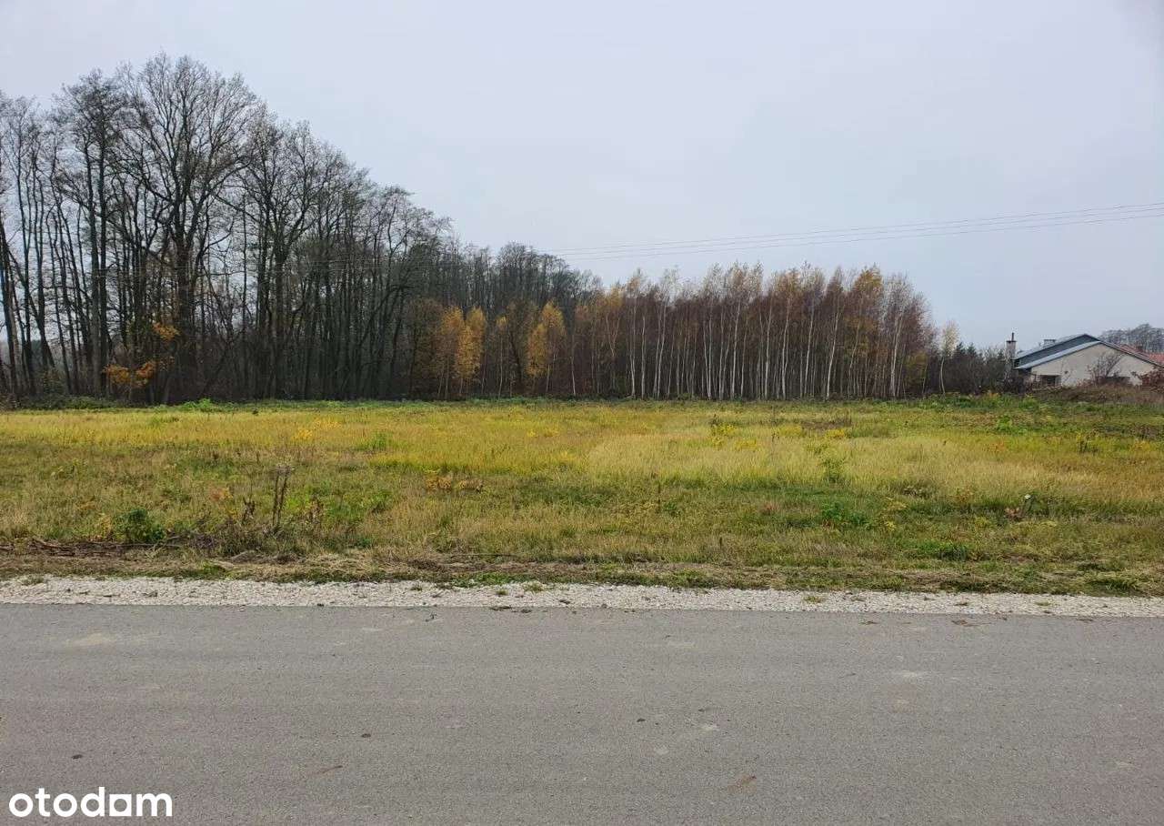 Działki budowlane 8 10 11 12 arów Dąbrowa Tarn. Bagienica 11 900/1ar - Pełny obrazek: 5/11