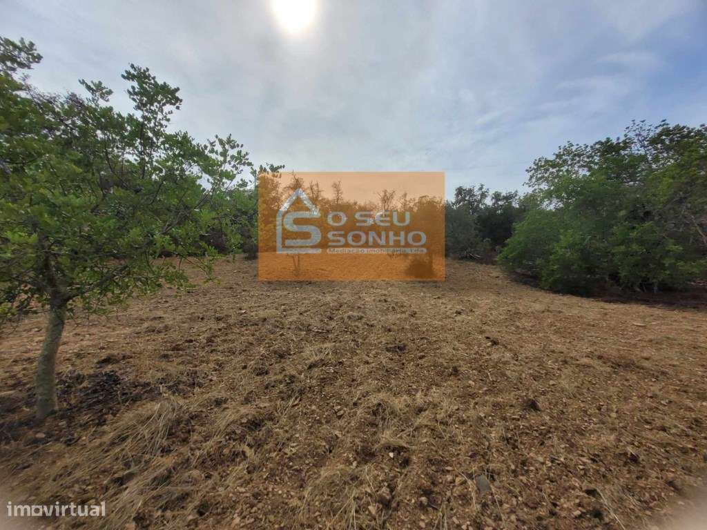 Terreno - Grande imagem: 4/6