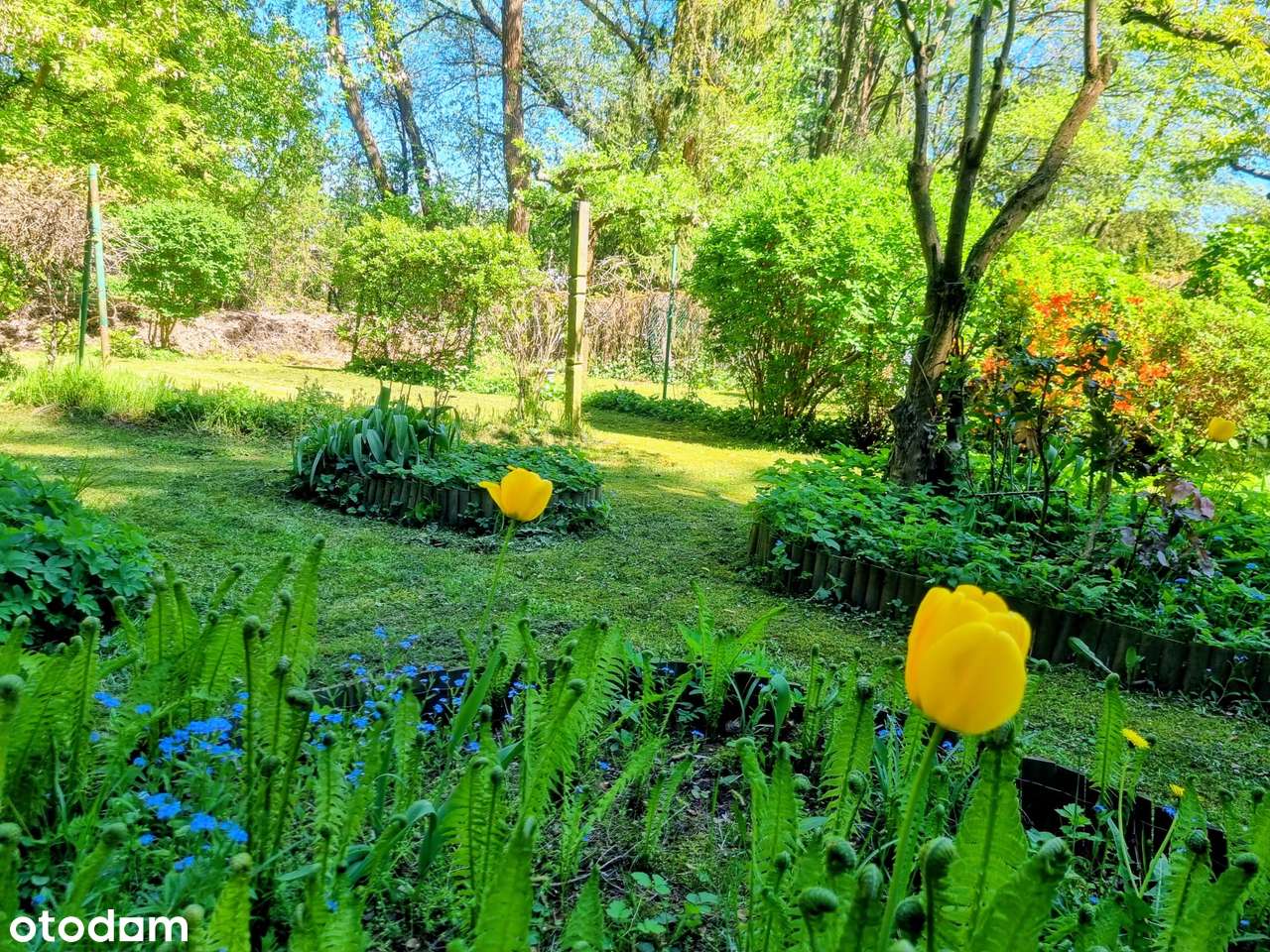 Sprzedam atrakcyjną działkę w Pobiedziskach!!!-9