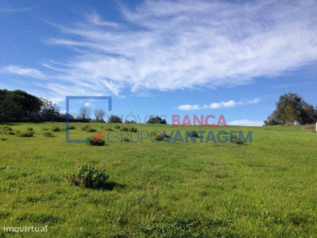 Terreno rústico com área de 5.500 m2 em Alfarelos - Grande imagem: 4/8