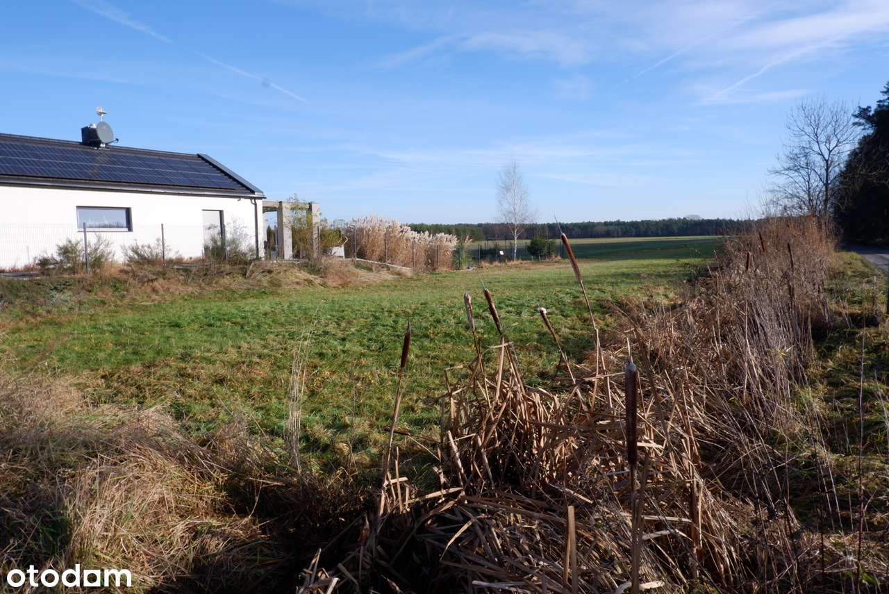 Piękna działka budowlana w sąsiedztwie lasu-4