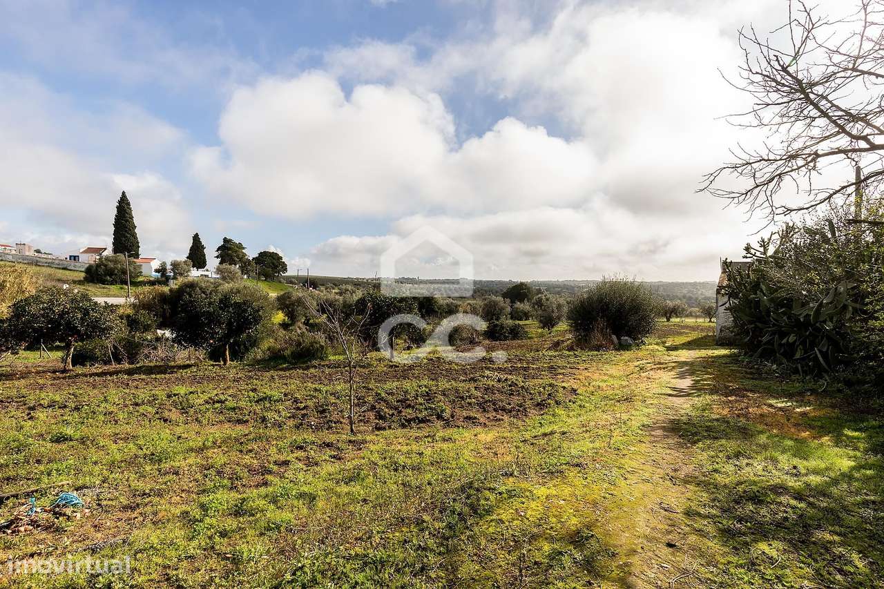Quinta T5 de 0,9 ha com Moradias e Anexos | Torrão, Alcácer do Sal-39