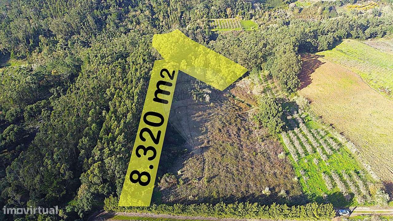 Terreno  para venda - Grande imagem: 5/5