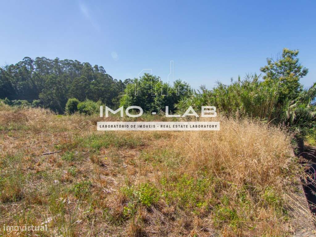 Terreno com 2962m2 - Ponta do Sol - Vista Mar e Serra!-10