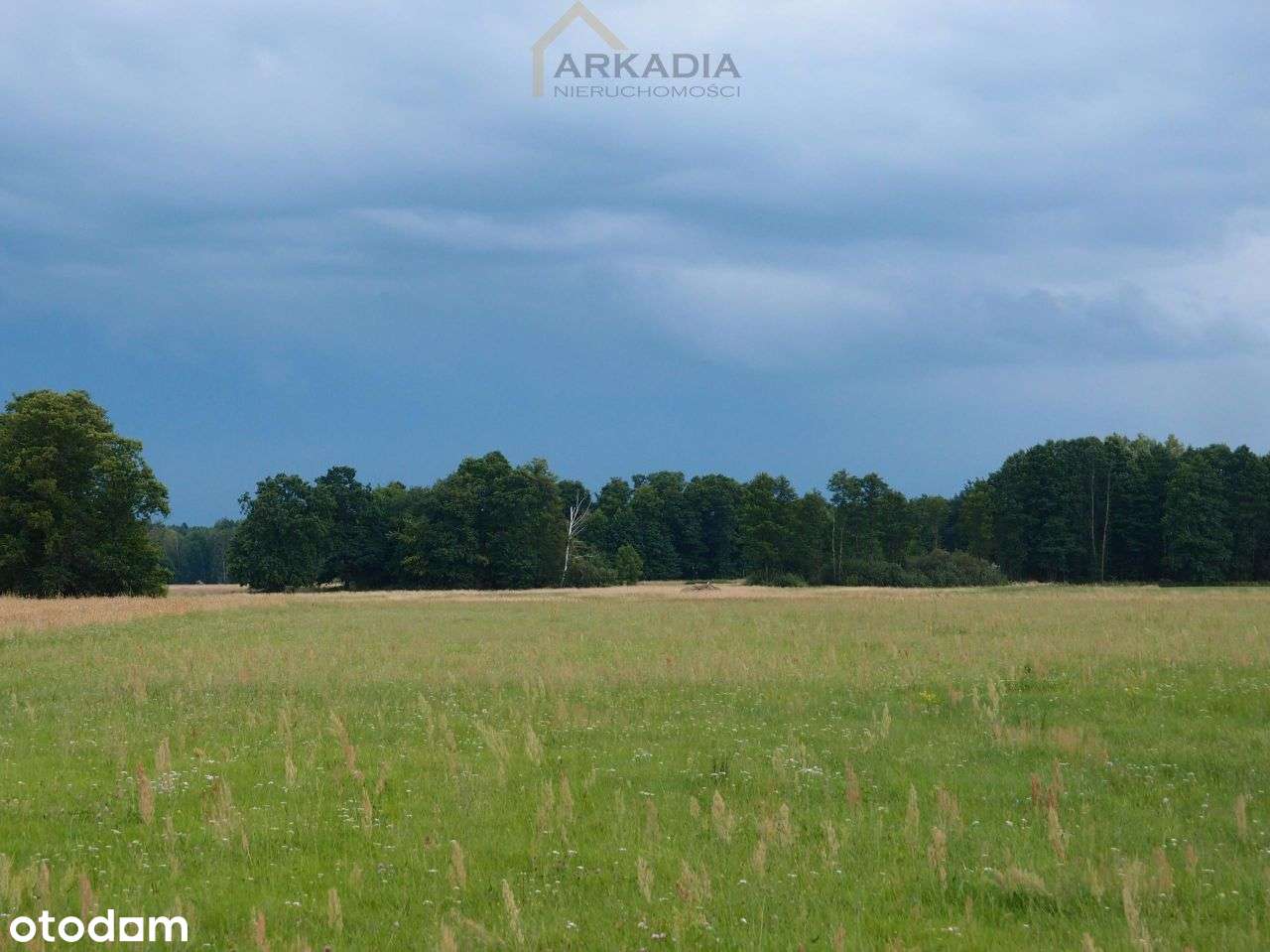 Duża działka siedliskowa w dobrej cenie-0