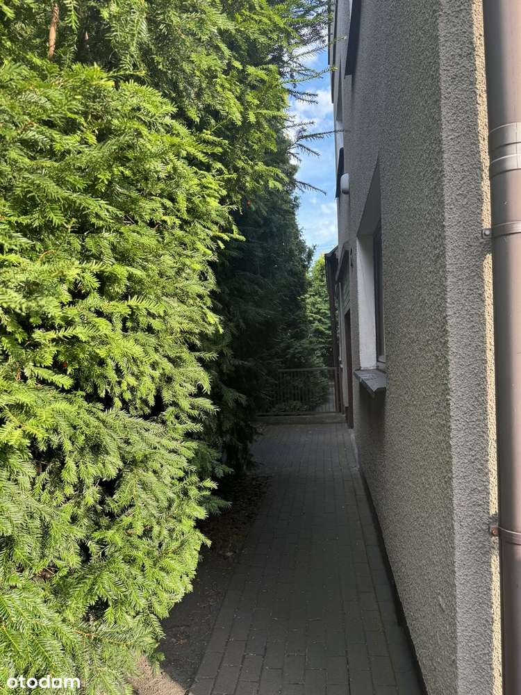 Dom w idealnej lokalizacji z ogromnym potencjałem! - Pełny obrazek: 5/9