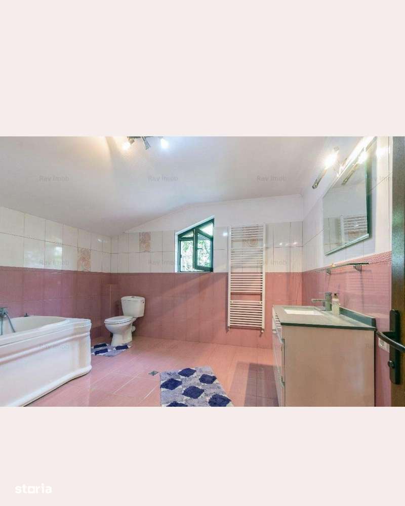 Vânzare – Proprietate deosebită în Tunari, ideală pentru două familii-16