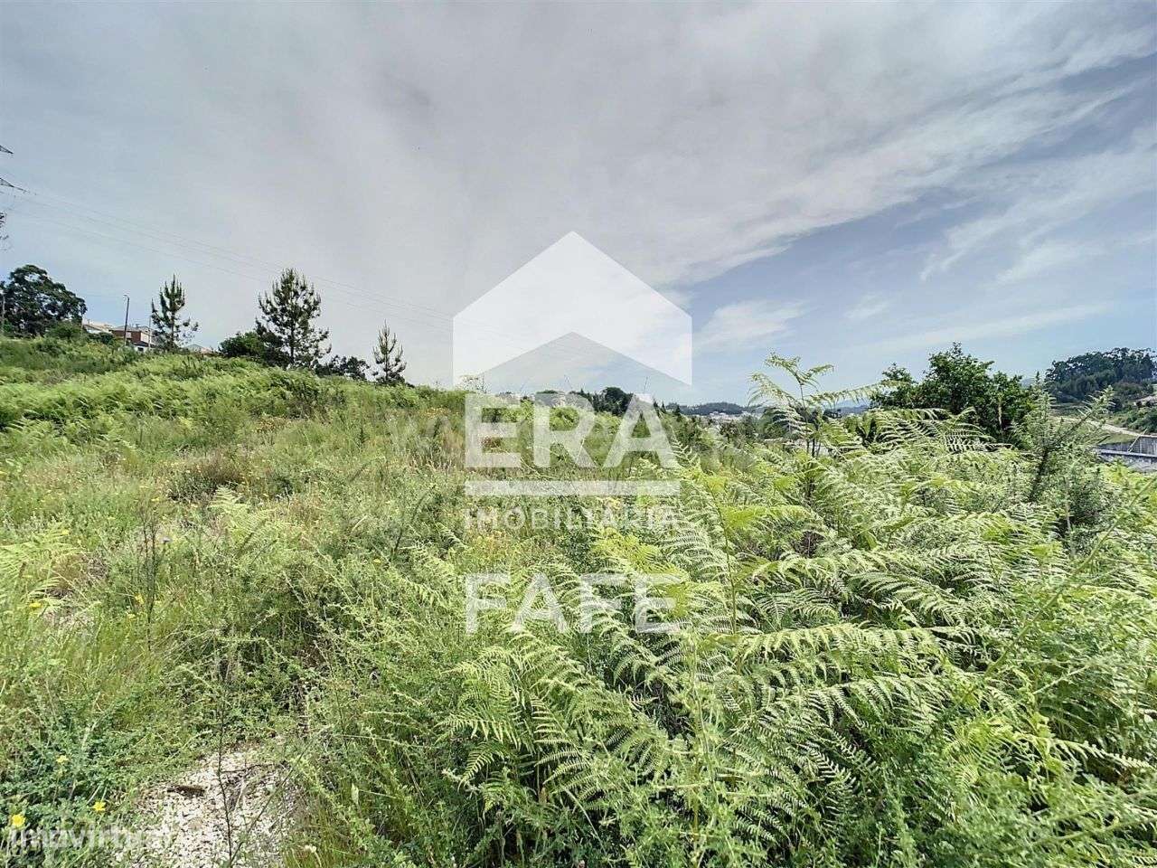 Terreno com 16.950 m2 em Fafe - Grande imagem: 4/13