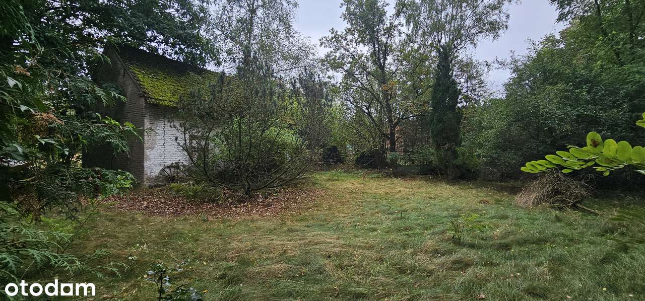 Urocze, zaciszne dwie działki w środku lasu! - Pełny obrazek: 5/11