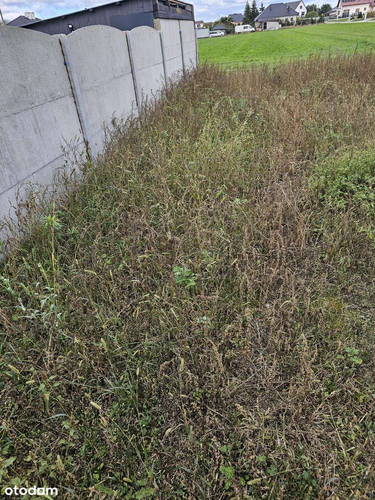 Sprzedam Dom w zabudowie bliźniaczej-5