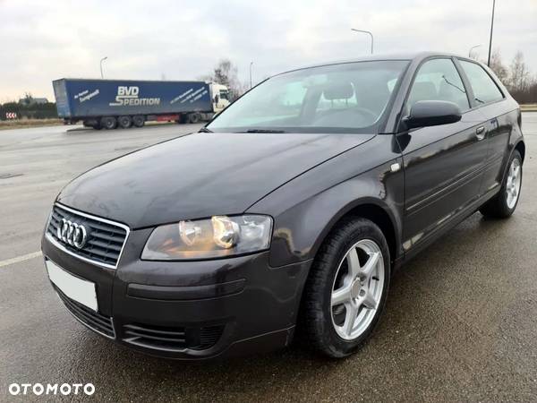 Audi A3 1.6 FSI Ambition - 23