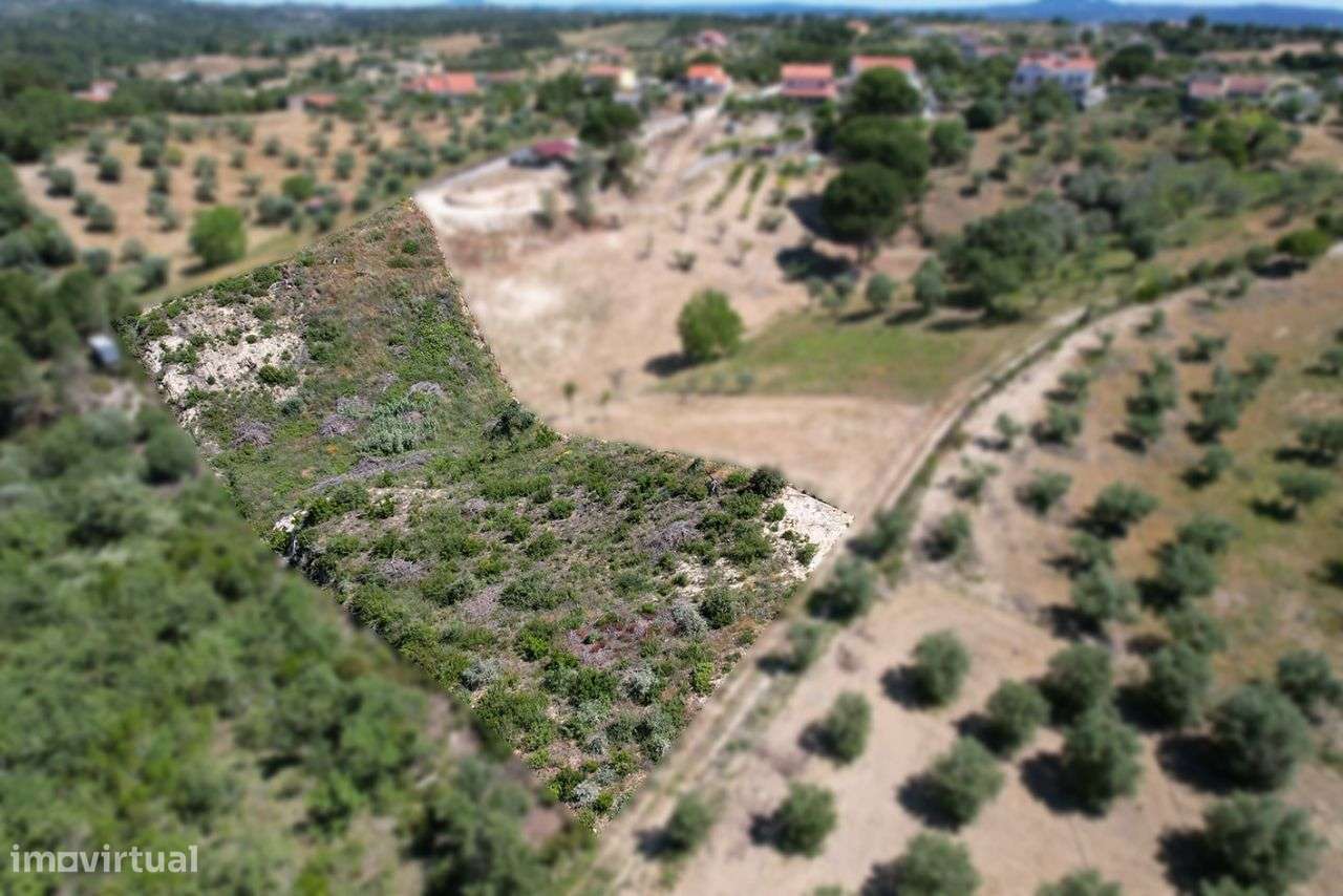 Terreno Rústico em Tomar - Grande imagem: 3/17