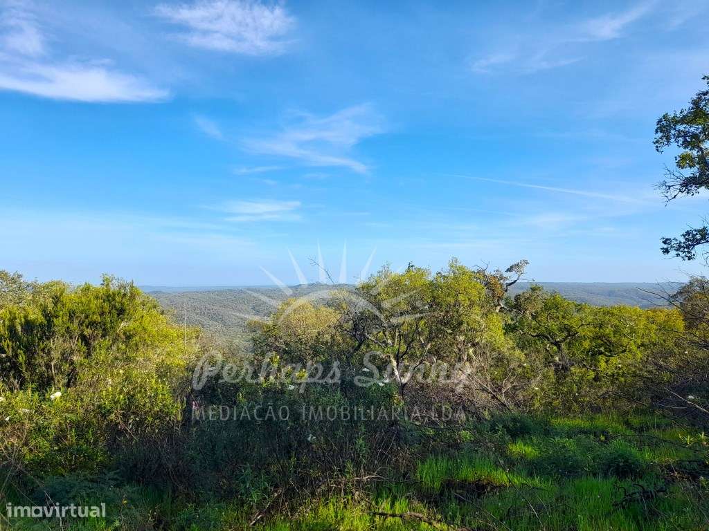 Terreno Rústico Grândola - Grande imagem: 2/25