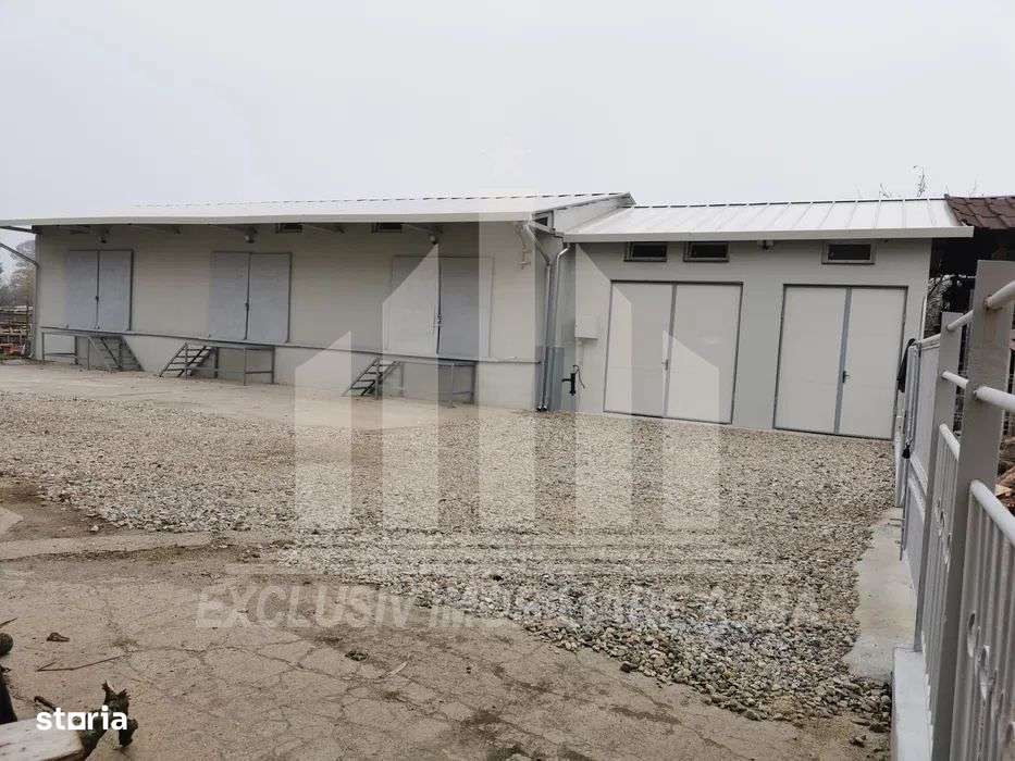 Hala industriala de vanzare-1