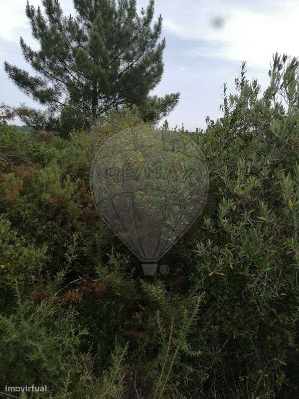 Terreno  para venda - Grande imagem: 3/4