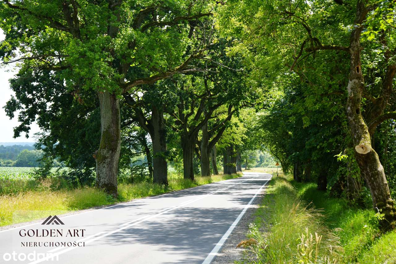 Działka na sprzedaż: Gmina Pasłęk | 5306 m² | WZ | Oczko wodne-15