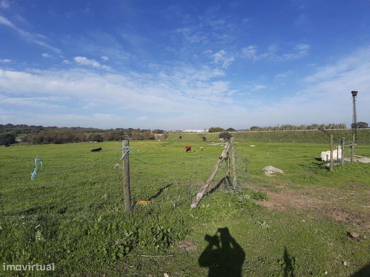VENDA JUDICIAL I ARMAZÉM com terreno de 1.65 HECT-10