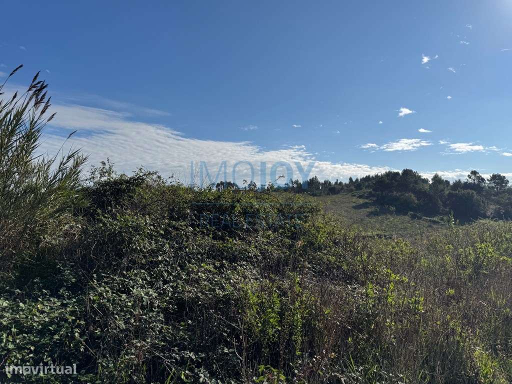 Magnífico Terreno Rústico com Ruína - Grande imagem: 3/30
