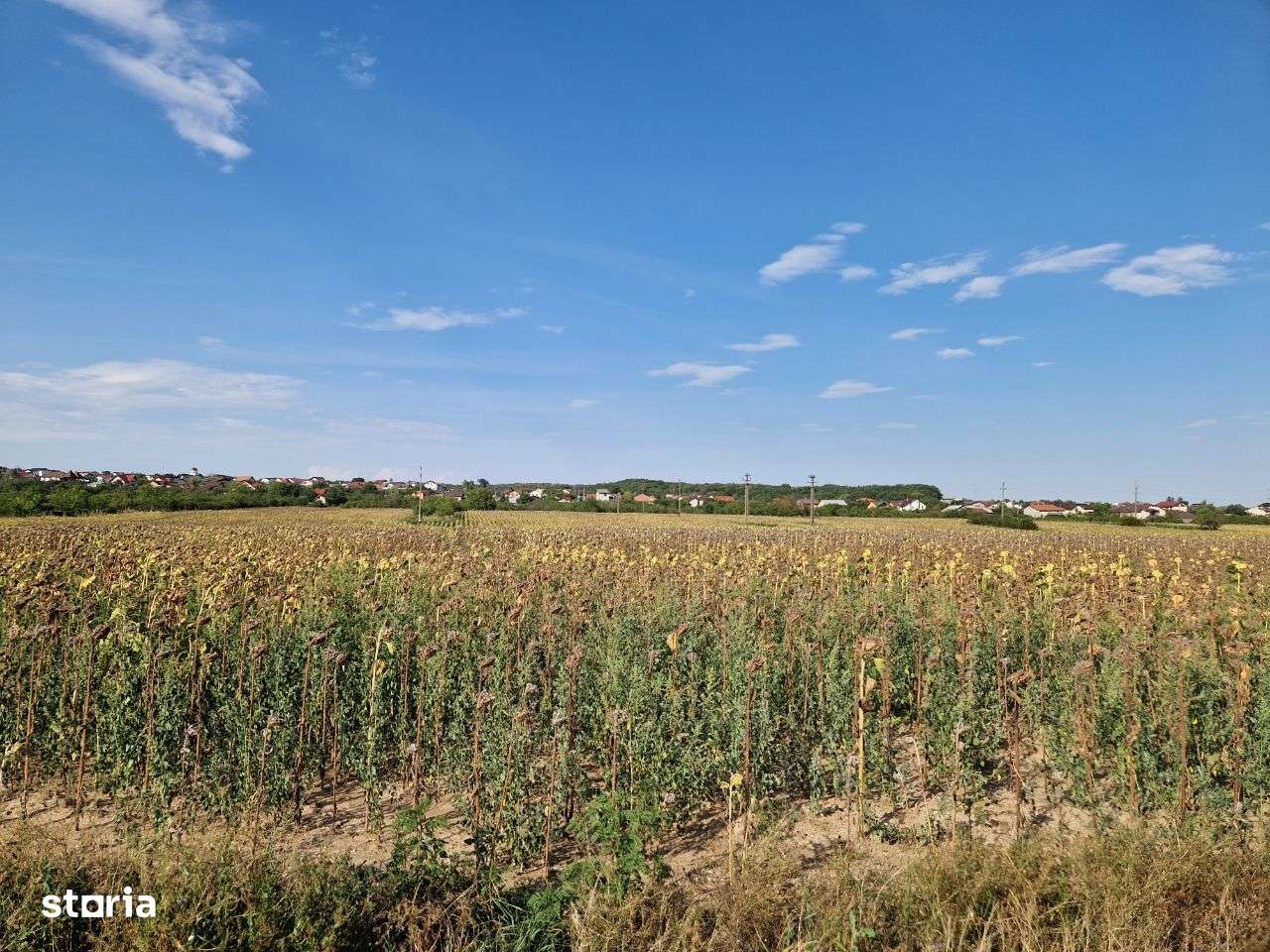 Cafrom Imobiliare - EXCLUSIV- Teren de Vanzare- Paulesti/Cocosesti-3