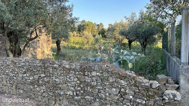 Terreno 1520 m2 com casa de arrumos - Grande imagem: 5/10