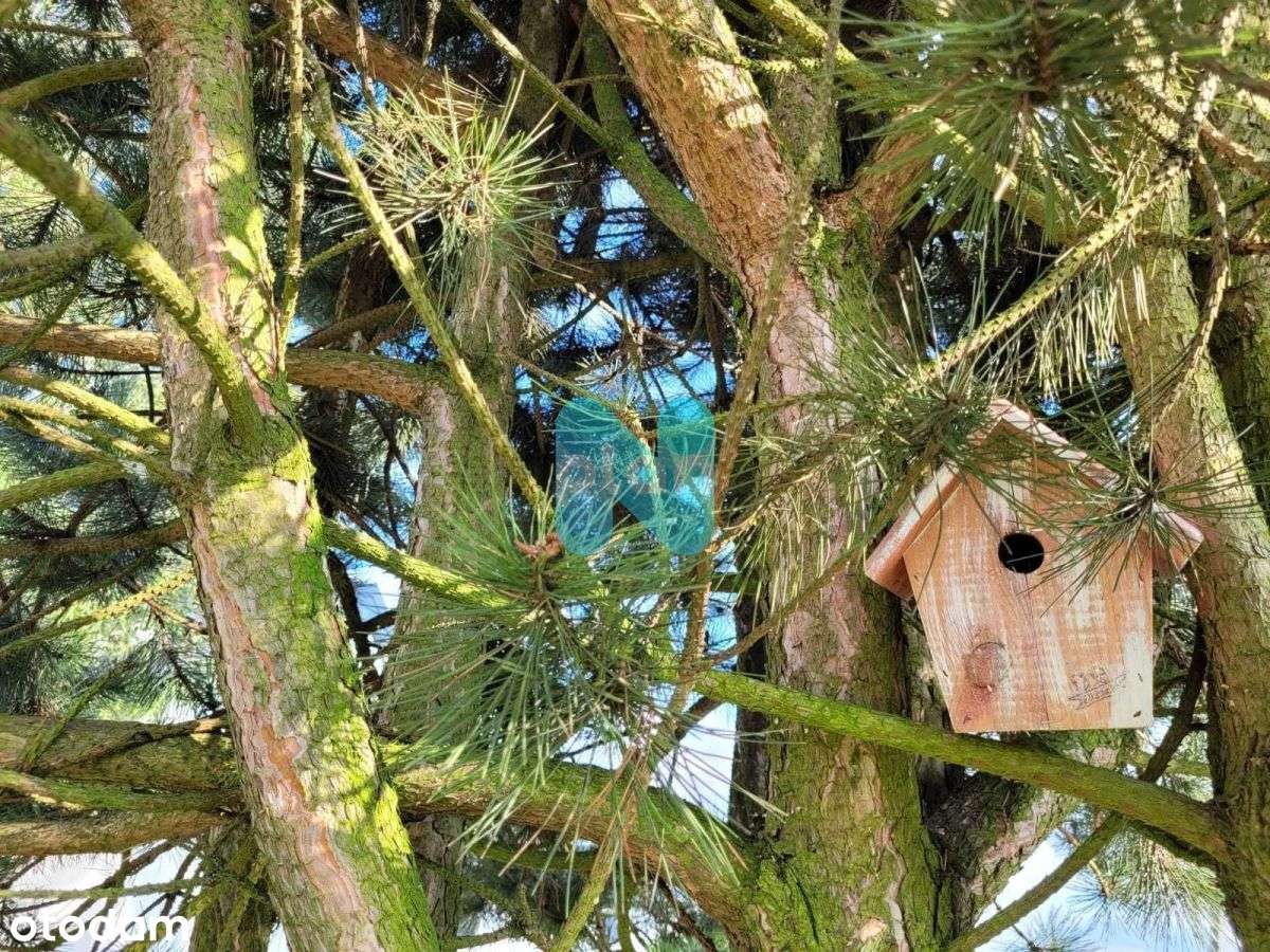 Nowy Dom Nad Morzem,-17