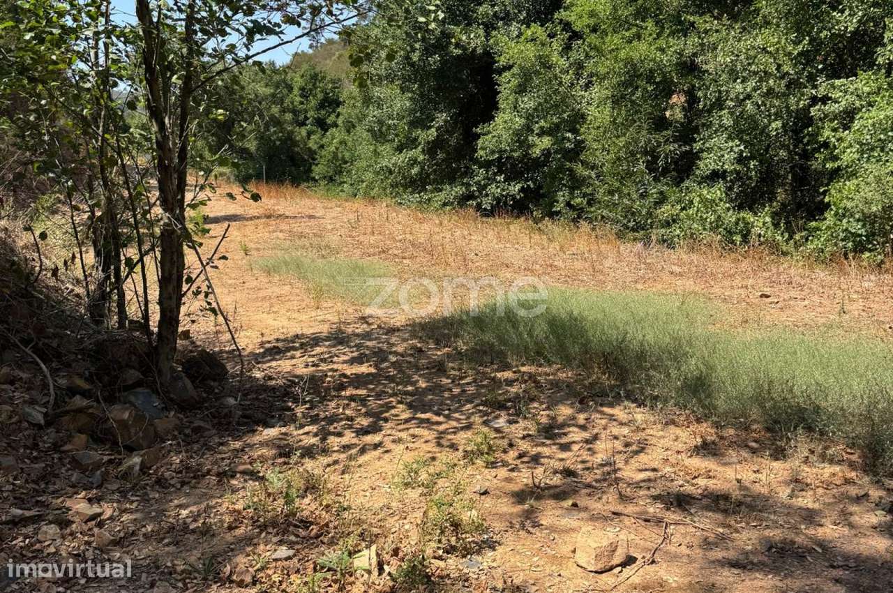 Terreno Rústico com 2000m2 - Monchique - Grande imagem: 2/23