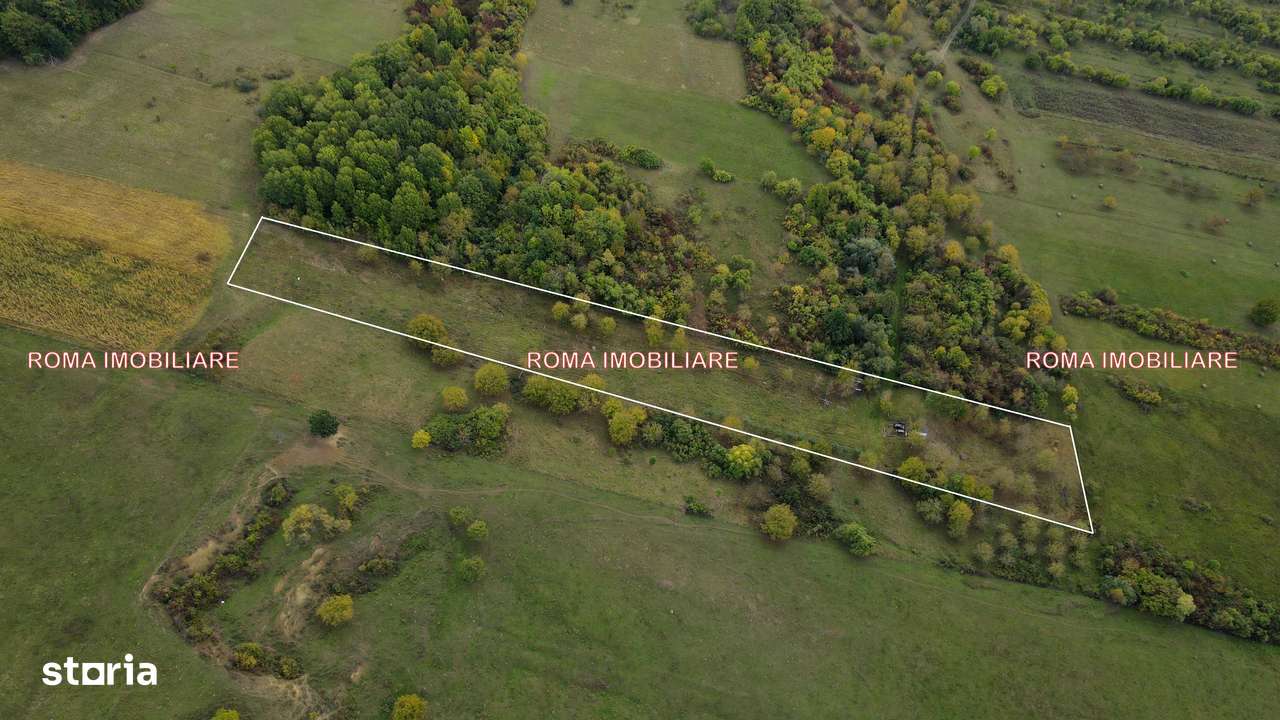 Berchez teren extravilan de vanzare - Imagine principală: 4/7