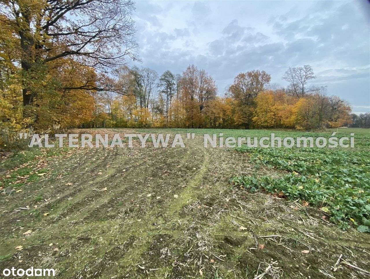 Wyjątkowa działka Mizerów-9