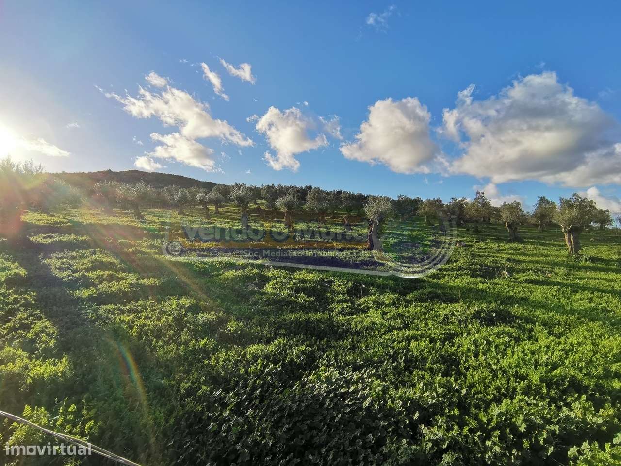 Terreno em Sousel, Portalegre (PSL001) - Grande imagem: 4/13