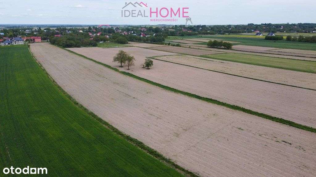 4 Działki Rozbórz- 11,7-11,85A- Mpzp - Pełny obrazek: 5/8