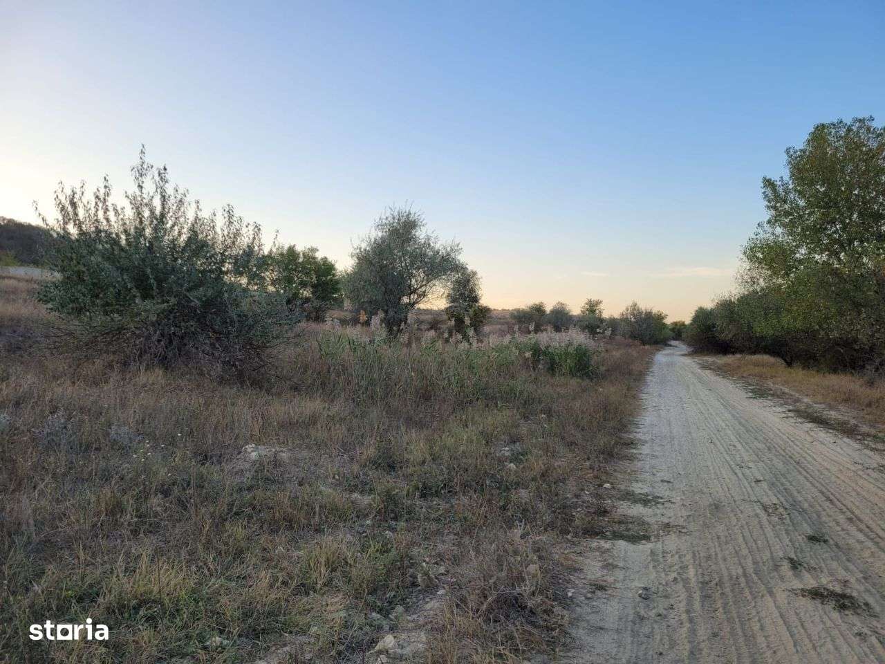 Cenavoda teren 14.000m pășune - Imagine principală: 5/20